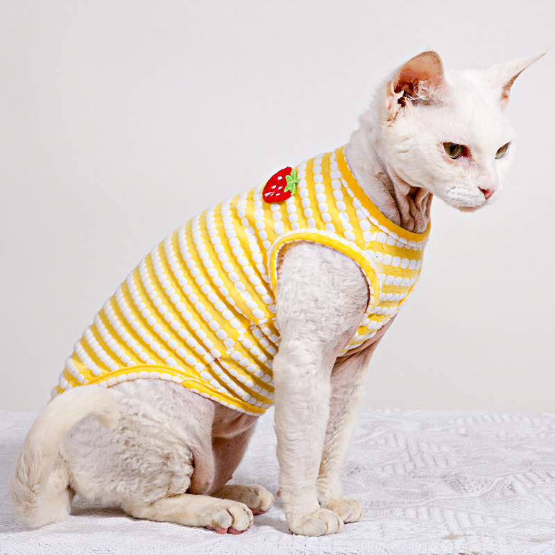 Zomer T-shirt voor Sphynx Kat  - Soft Summer Yellow Clothing recensie en prijs