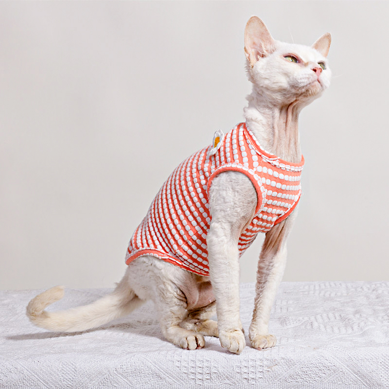 Zomer T-shirt voor Sphynx Kat  - Soft Summer Yellow Clothing recensie en prijs